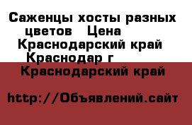 Саженцы хосты разных цветов › Цена ­ 150 - Краснодарский край, Краснодар г.  »    . Краснодарский край